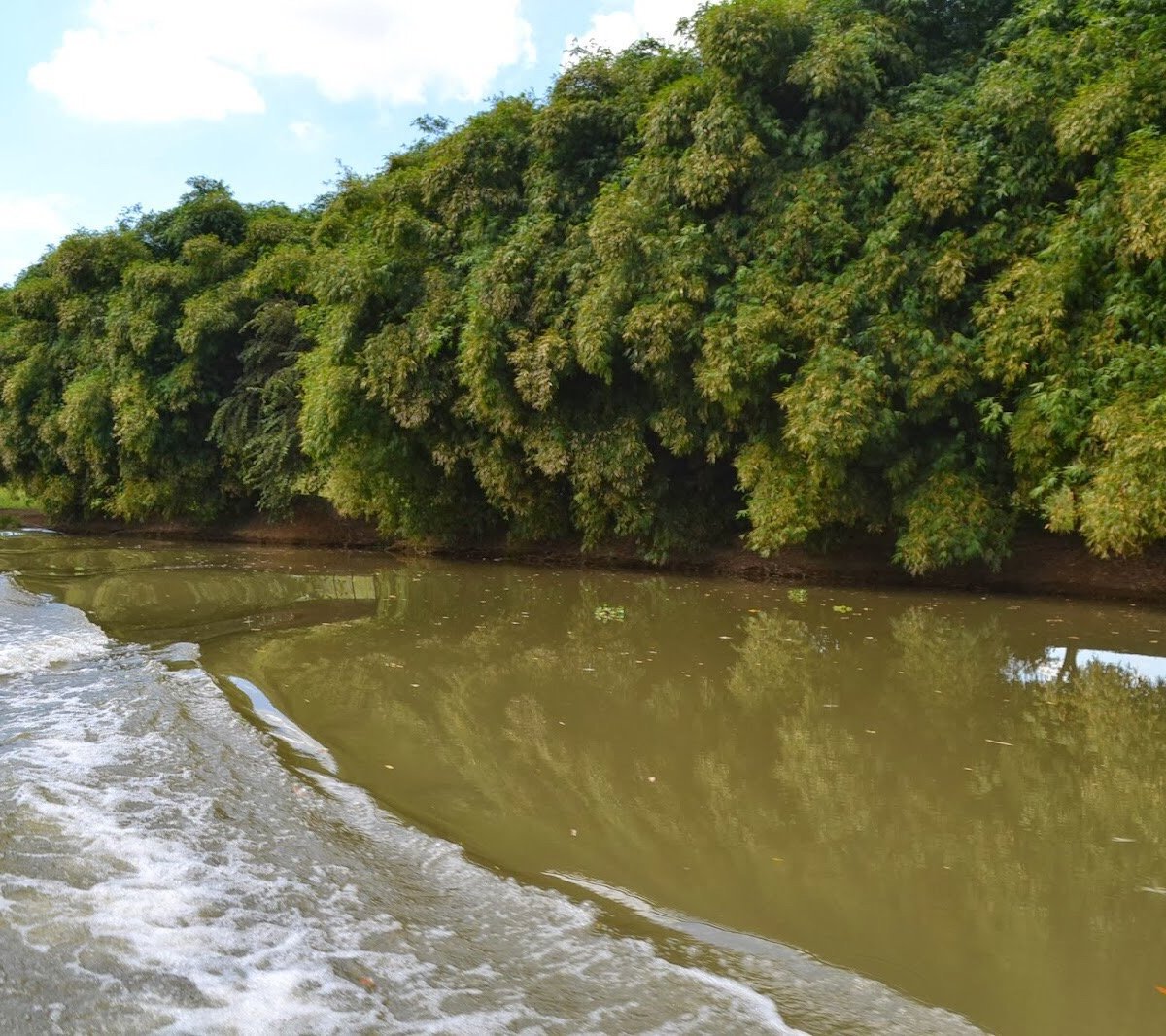 Parque Nacional Humedales del Ozama(Ozama Wetlands National Park