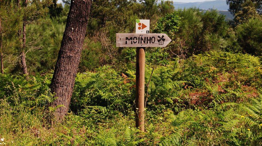 Reserva Botânica de Cambarinho