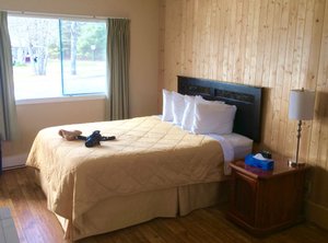 Wildwood Motel in Shelburne, image may contain: Interior Design, Bed, Furniture, Stained Wood