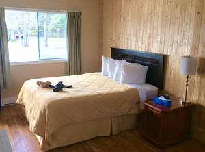 Wildwood Motel in Shelburne, image may contain: Interior Design, Bed, Furniture, Stained Wood