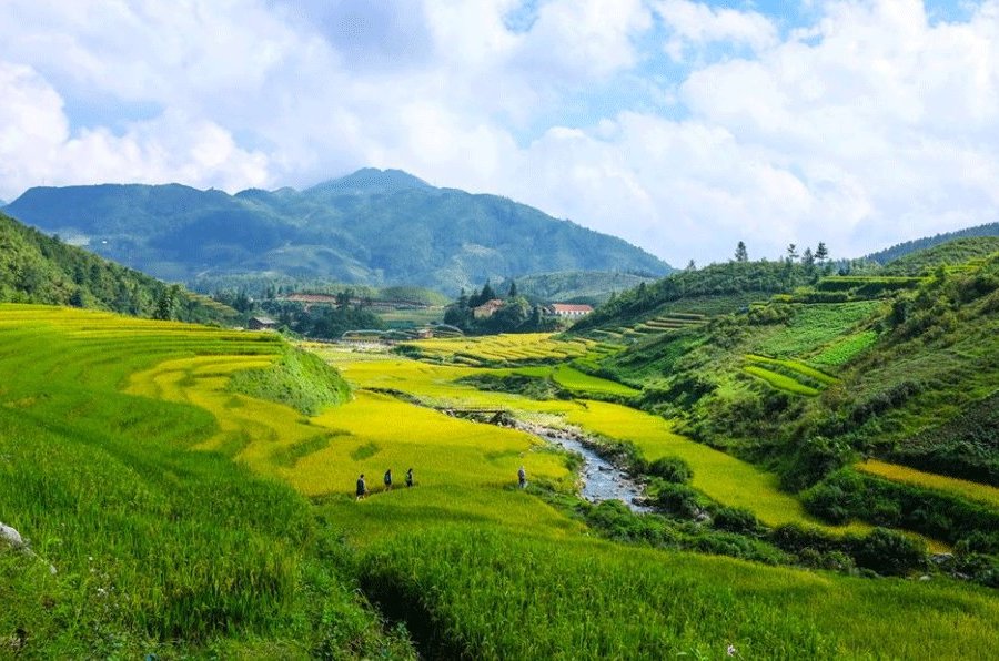 Sapa Authentic Tour - All You Need to Know BEFORE You Go (2024)