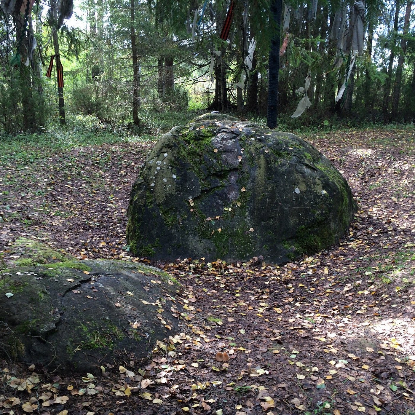 Тарногский Городок 2024: все самое лучшее для туристов - Tripadvisor