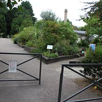 Vue depuis l'entrée du jardin
