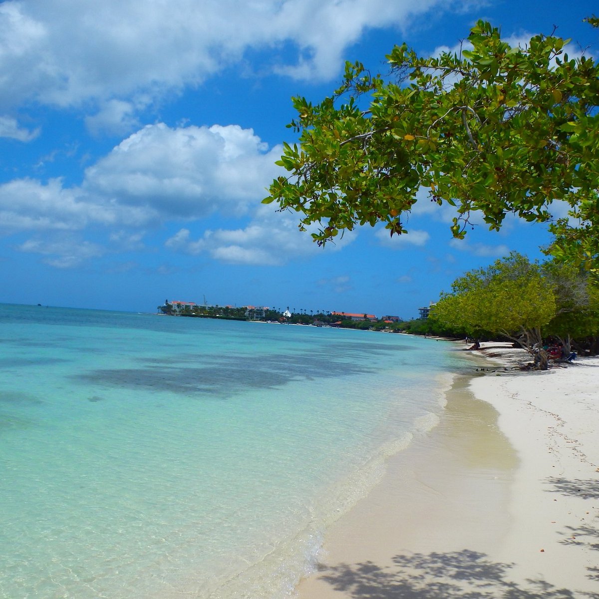 Renaissance mall Aruba - Picture of Aruba, Caribbean - Tripadvisor