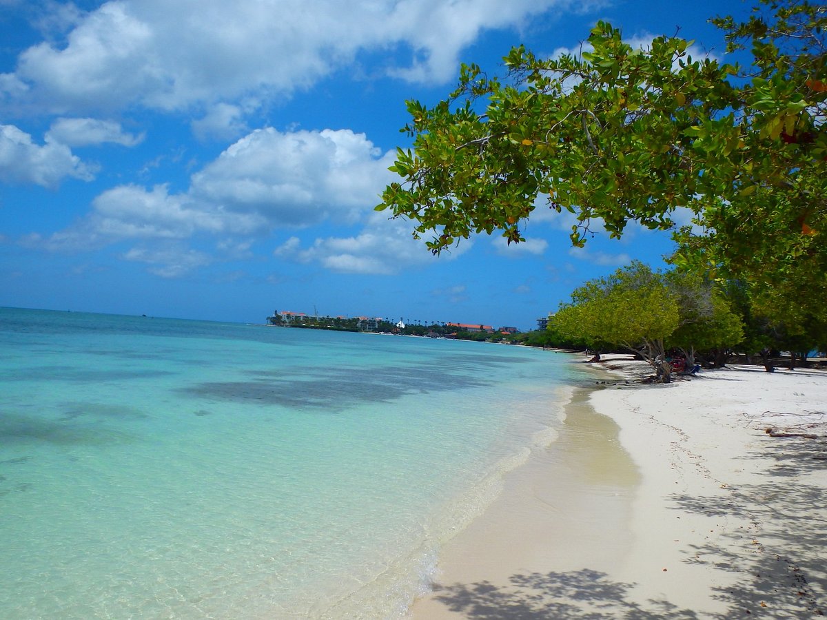 Subtropische vakantiebestemmingen en eilanden - Reisliefde