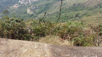 Tripadvisor  Aventura de dia inteiro com 4x4 off-road saindo de São Paulo,  Brasil: experiência oferecida por Atibaia 4x4