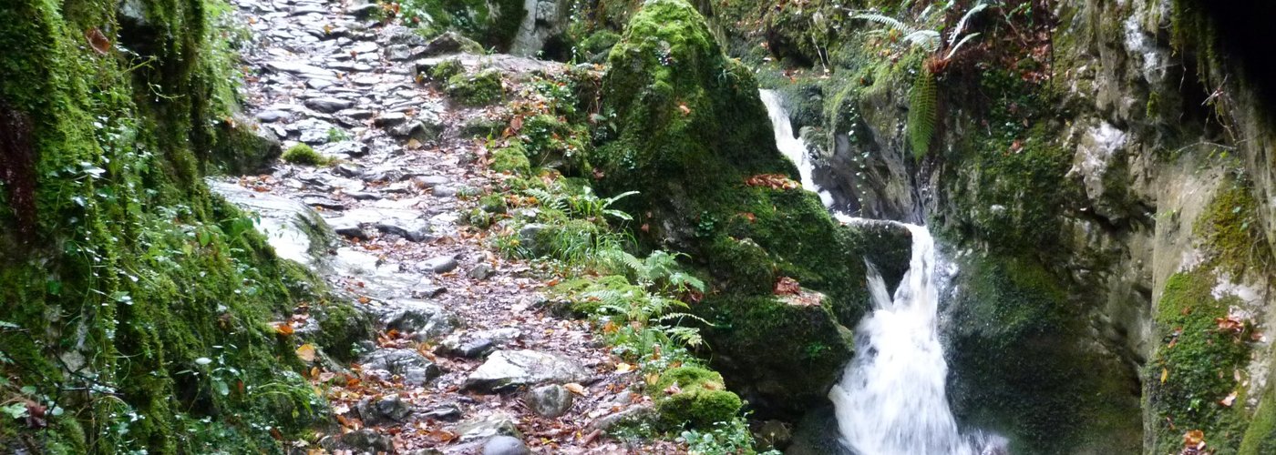 Camino del Bueyu Pen