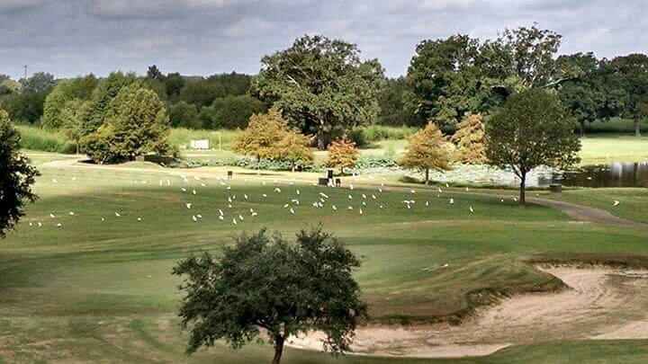 Olde Oaks Golf Club image