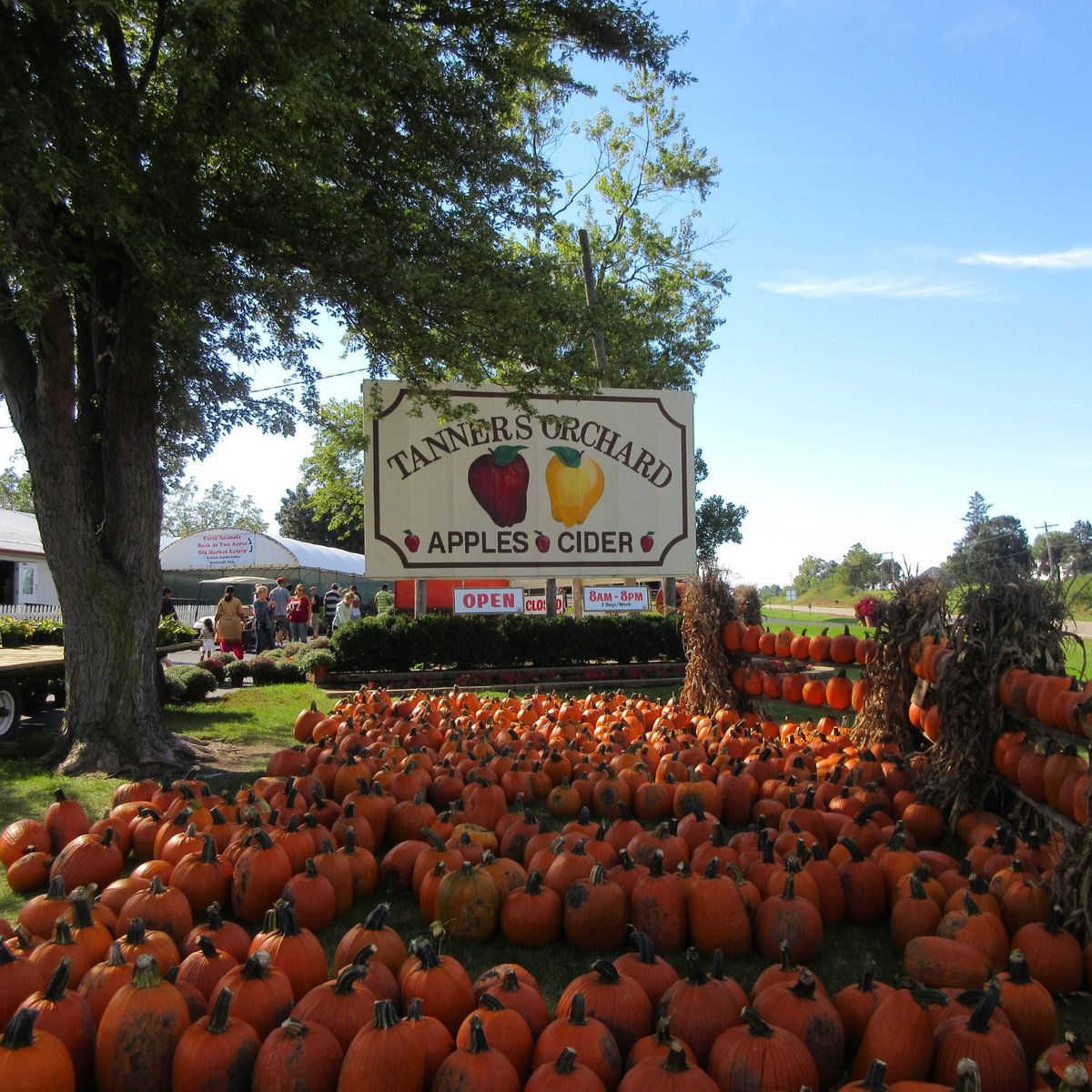 Tanners Orchard (Speer) 2022 Alles wat u moet weten VOORDAT je gaat