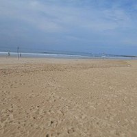 Dolphin Beach