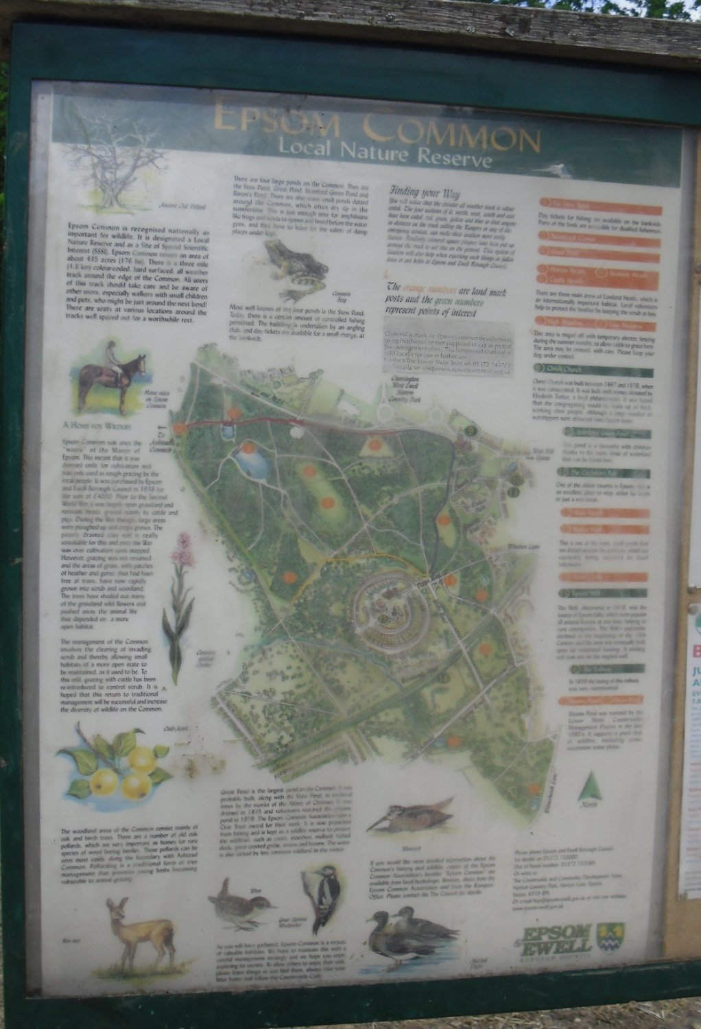 NONSUCH PARK (2024) All You Need To Know BEFORE You Go (with Photos)