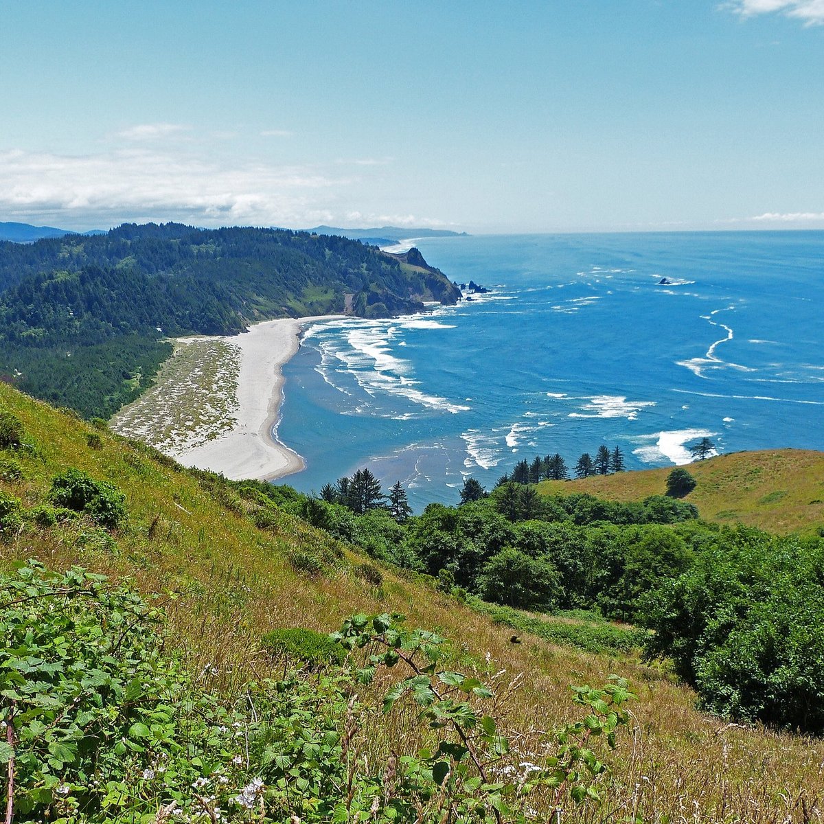 Cascade Head Trail (Otis) - All You Need to Know BEFORE You Go