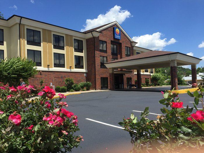 COMFORT INN & SUITES (Rogersville, TN) Prezzi e Recensioni 2025