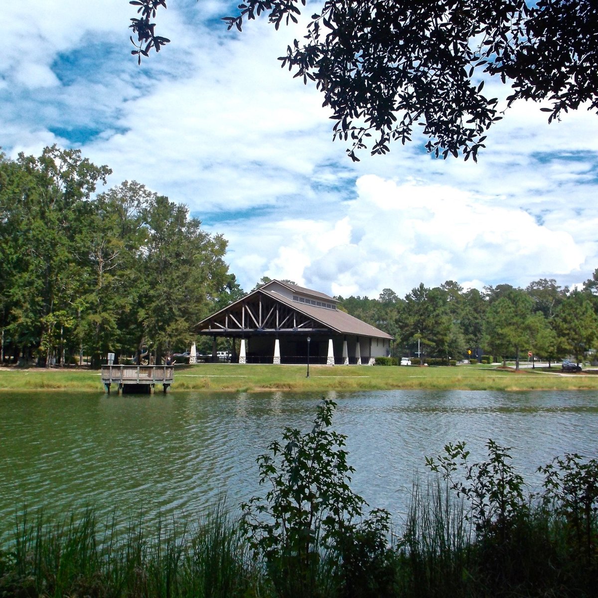 Tom Triplett Community Park (Pooler) Lo que se debe saber antes de