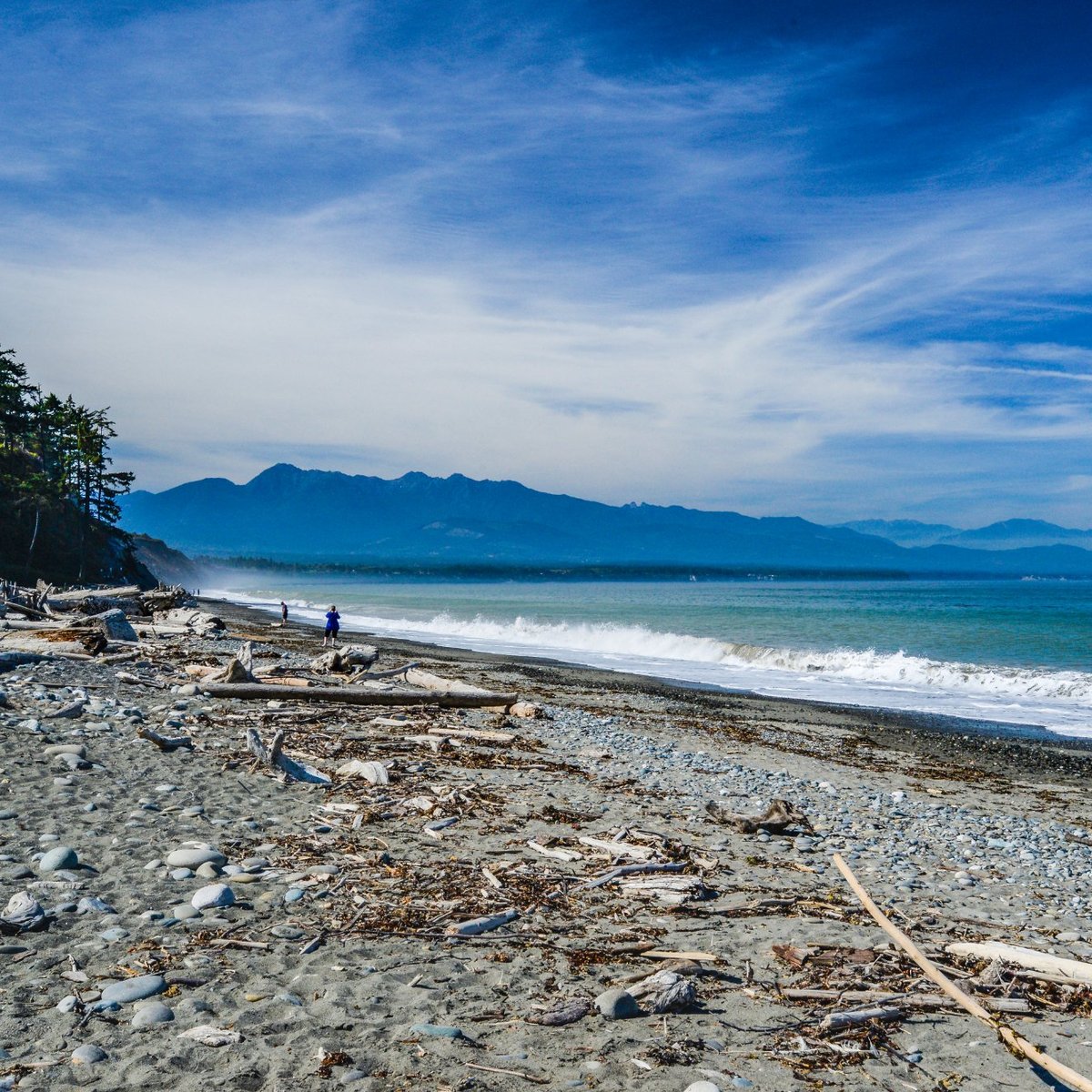 DUNGENESS RECREATION AREA (Sequim): All You Need to Know