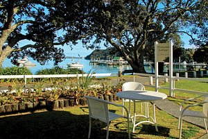 Hananui Lodge and Apartments in Russell, image may contain: Waterfront, Grass, Chair, Scenery