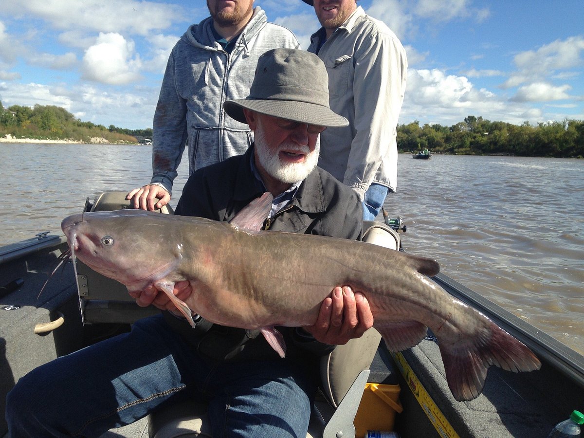 Show Me Catfishing Trophy Guide Service - We caught one of the coolest  looking fish that I have ever seen. The fishing has been pretty solid.  Catching our fish on skipjack and