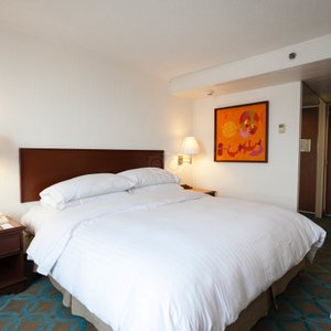 The Standard at the Fiesta Americana Reforma