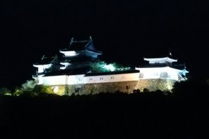 旅行者の写真