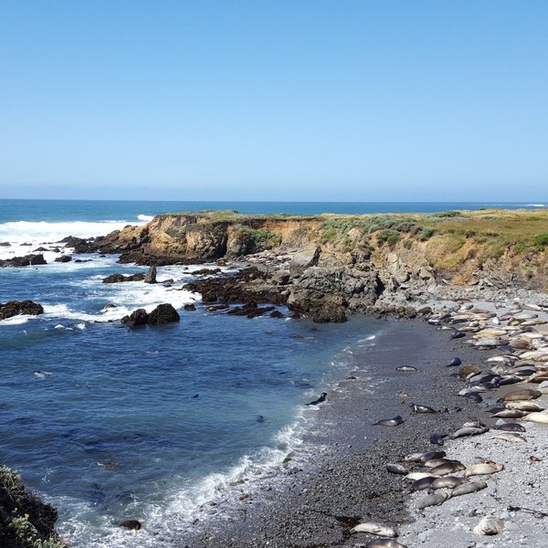 Jade Cove (San Simeon) - All You Need to Know BEFORE You Go