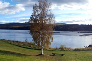 Svit och rum