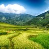 The 5 Best Motorcycle Tours in Yen Bai, Yen Bai Province