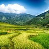 Things to do in Yen Bai, Yen Bai Province: The Best Sightseeing Tours