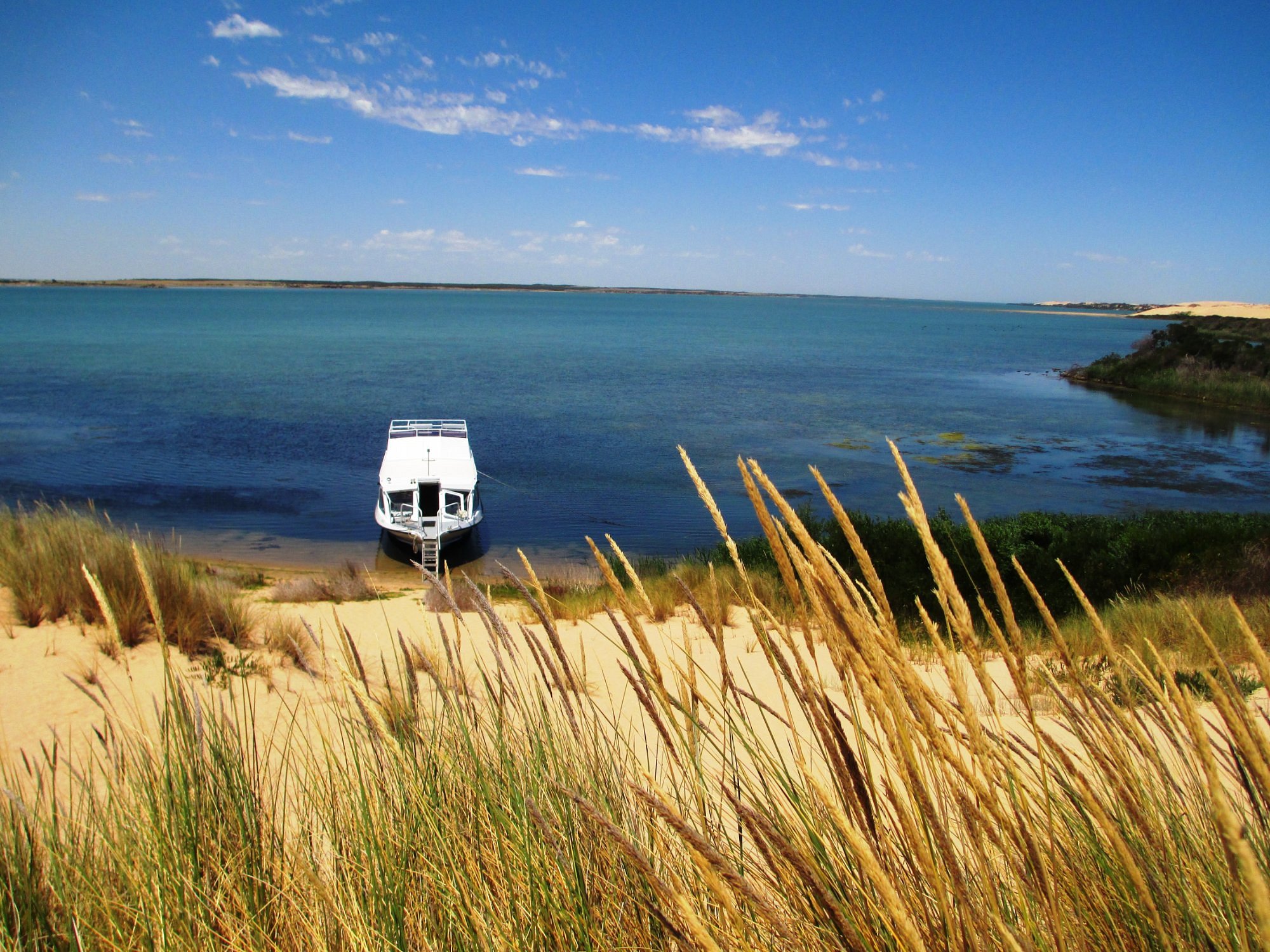 coorong cruises from goolwa