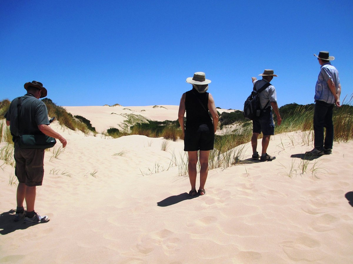 spirit of the coorong cruises goolwa south australia