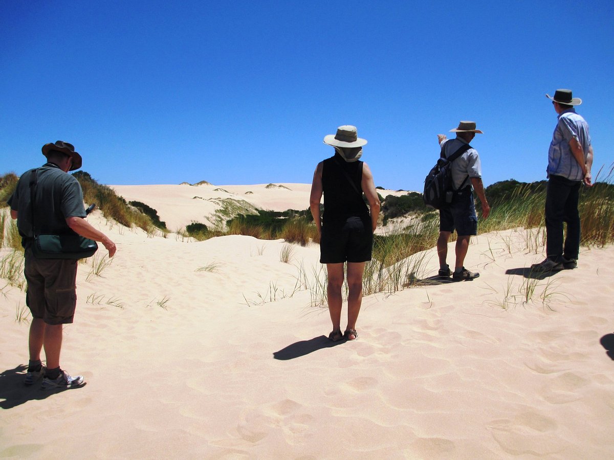 coorong river cruises