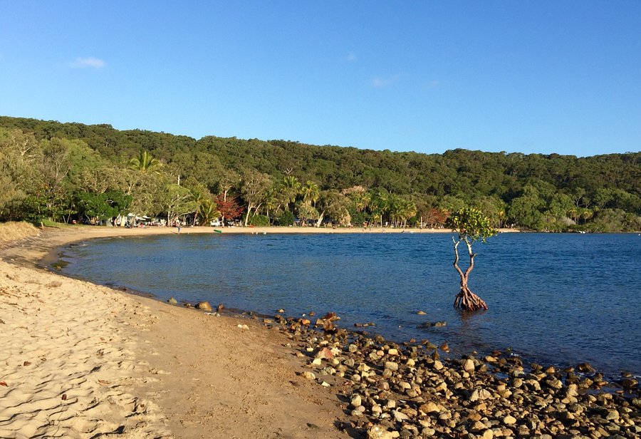 1770 Caravan Park Map 1770 Camping Ground - Updated 2022 (Australia/Seventeen Seventy) 1770 Caravan Park Map 1770 Camping Ground - Updated 2022 (Australia/Seventeen Seventy)