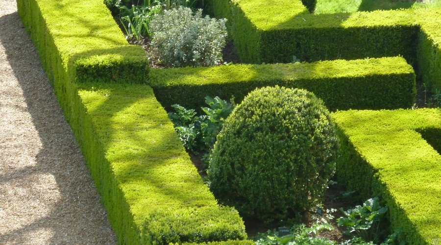 Chateau de Ballon - Holy Spirit Garden