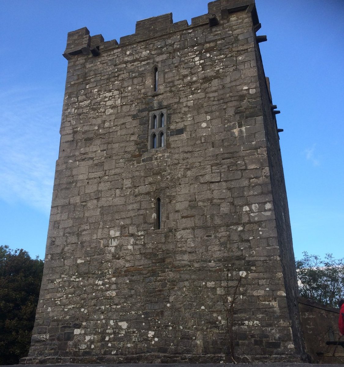 Smithstown Castle (Kilshanny) - All You Need to Know BEFORE You Go