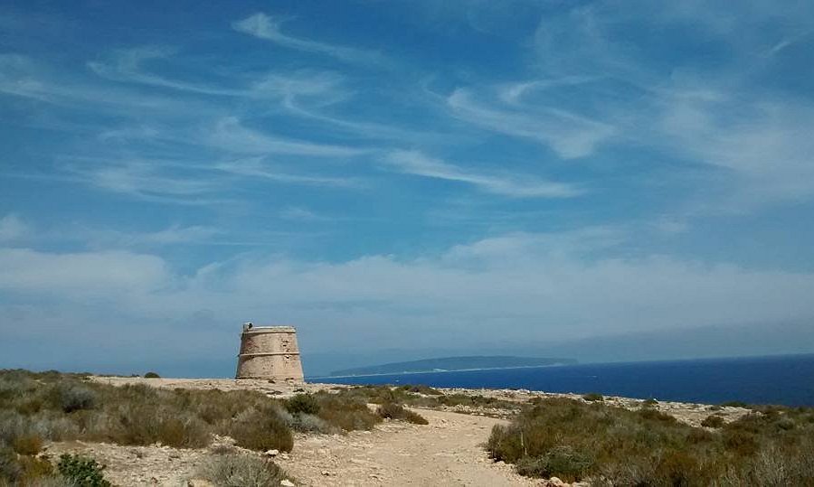 Torre de sa Punta Prima image