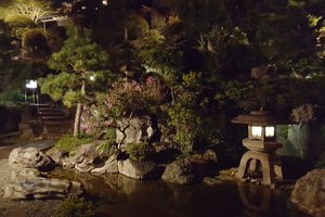旅客