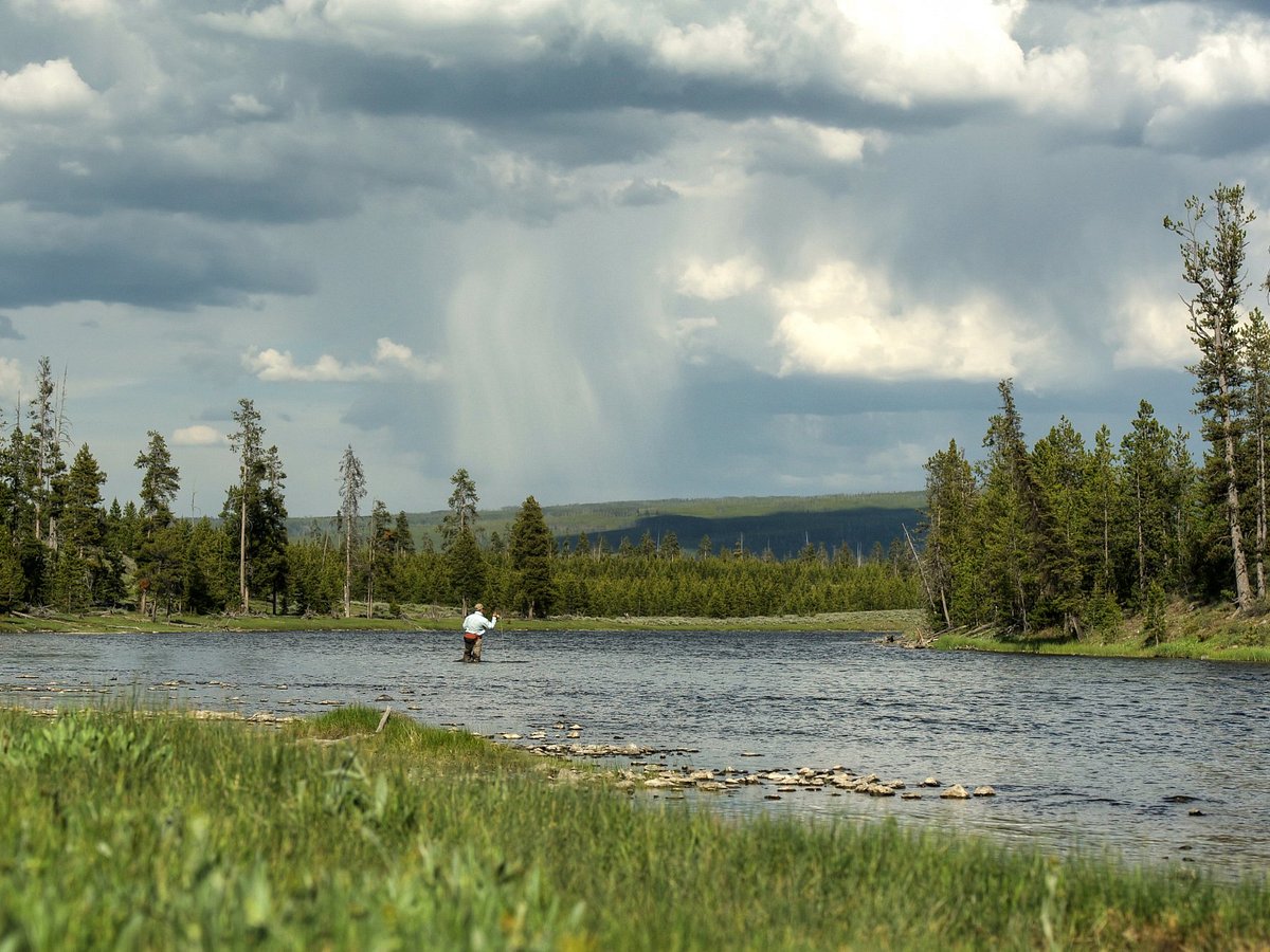 Fly Shop - Madison River Outfitters