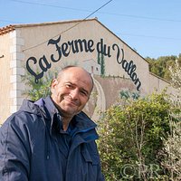 Producteur de " Saveurs Authentiques" Volailles de chair plein air, Oeufs, Huile d'olive BIO Hui