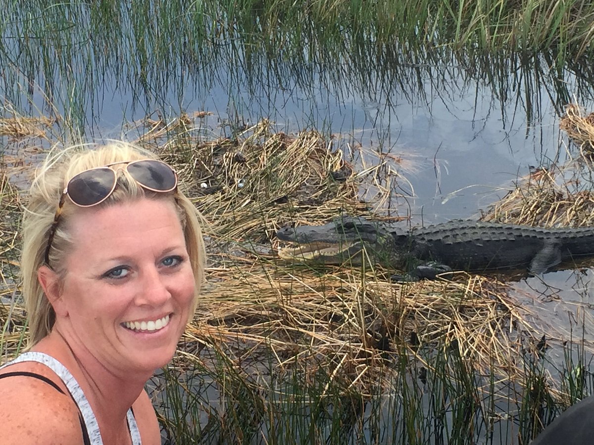 It's an alligator from a birds view - Review of Sawgrass Mills, Sunrise, FL  - Tripadvisor