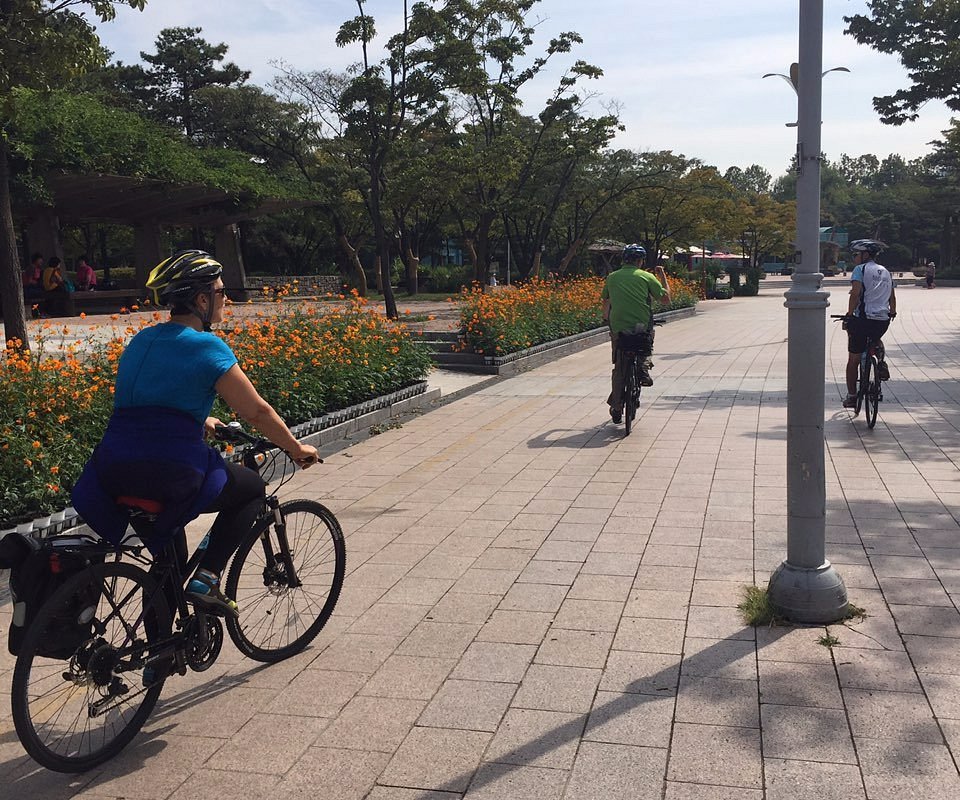 bike tour seoul