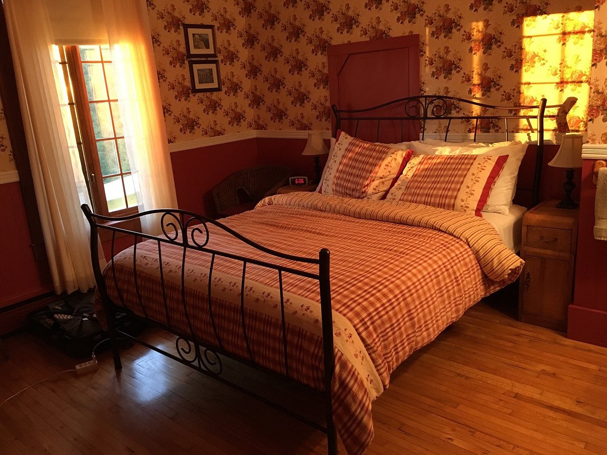 Considering the options...... - Review of Hotel la Maison Blanche, New  Carlisle, Quebec - Tripadvisor