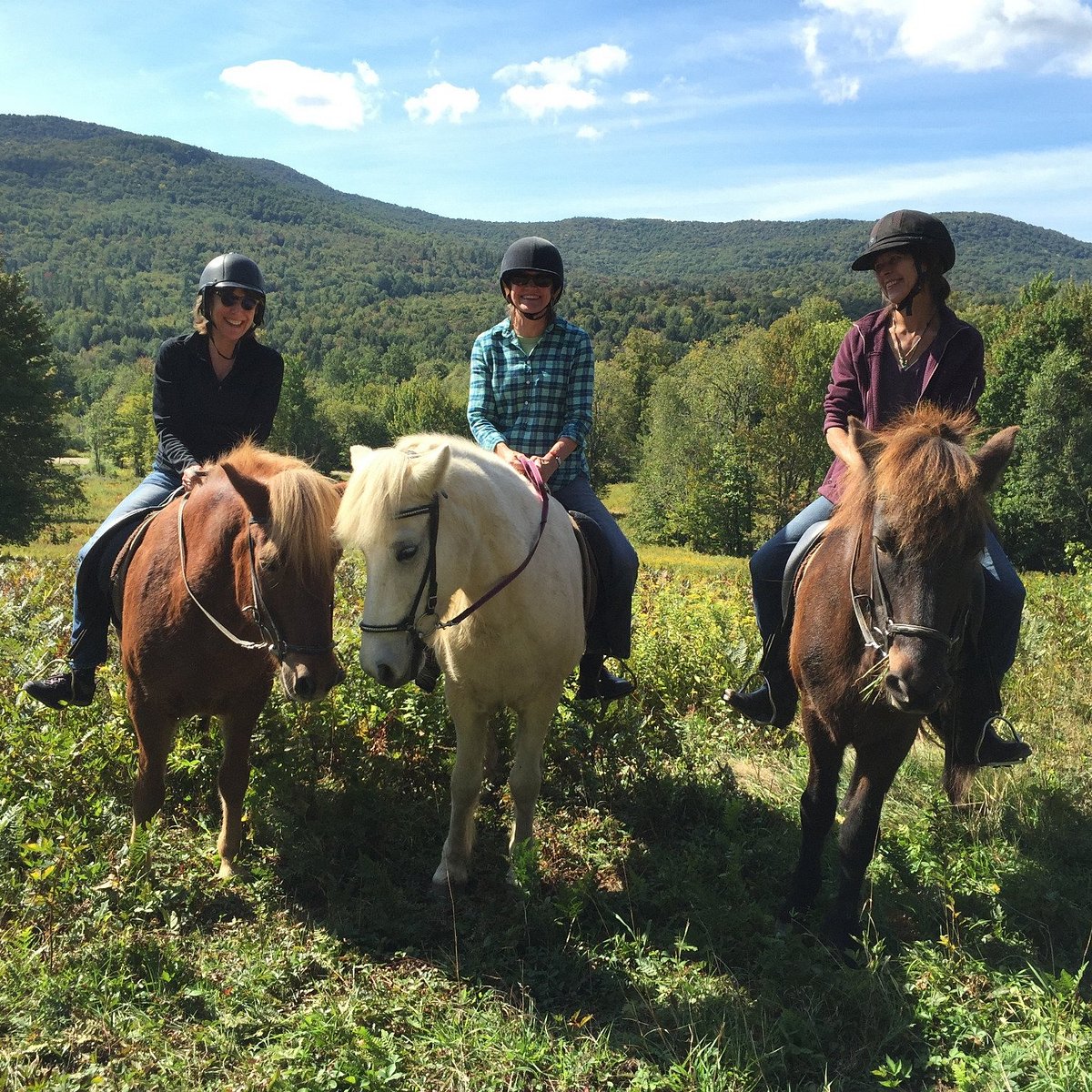 icelandic horse tours vermont