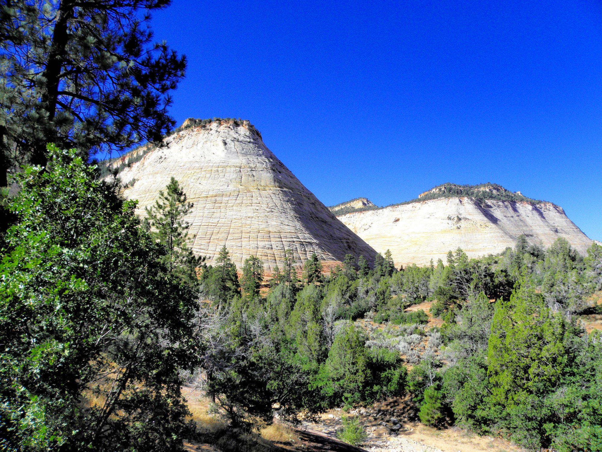 Checkerboard Mesa - All You Need to Know BEFORE You Go (2024)