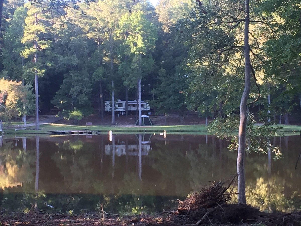 Escape to Nature's Embrace: Your Mississippi Adventure Awaits at Clarkco State Park