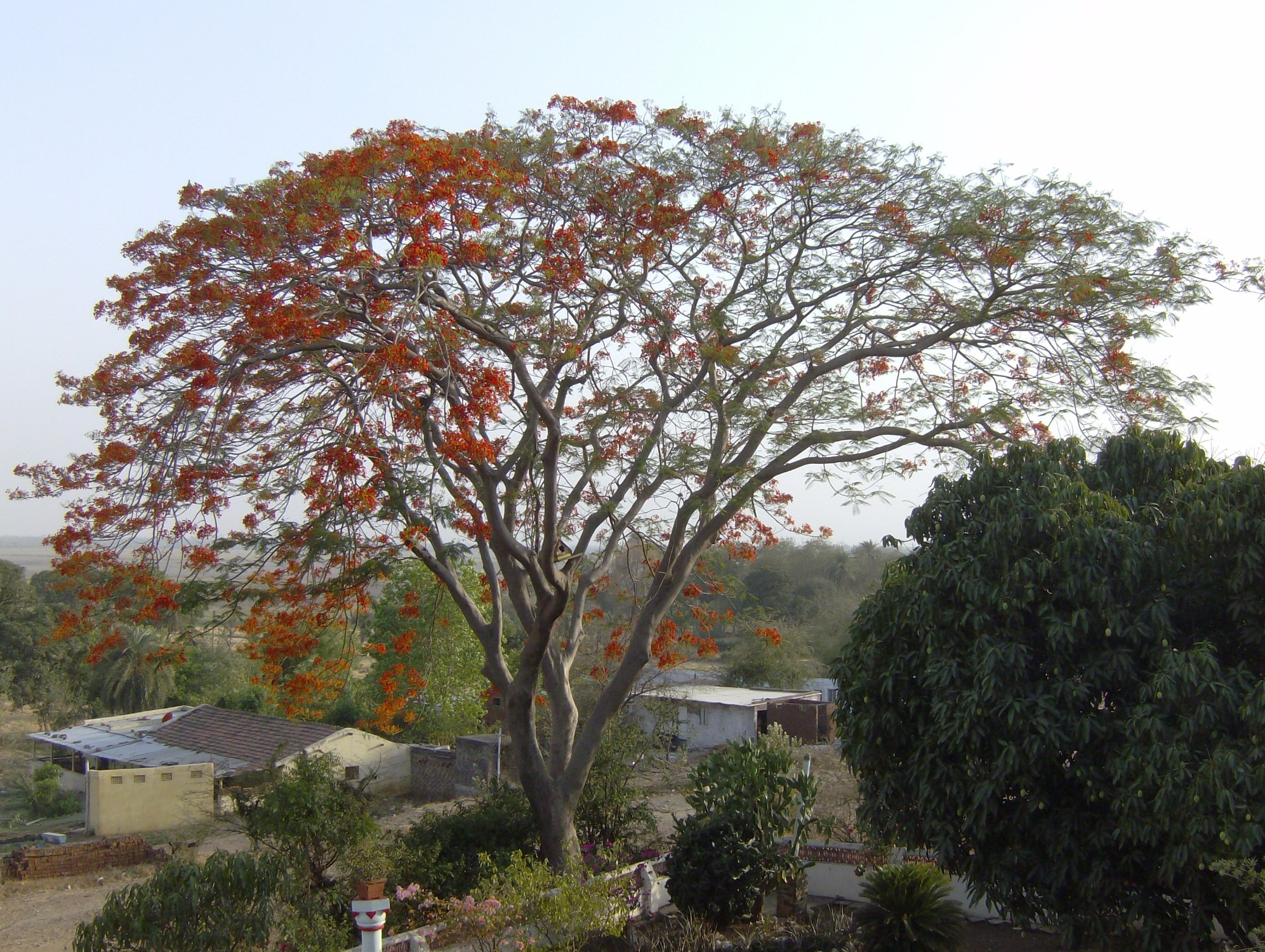 Hotel photo 9 of Jheelam.