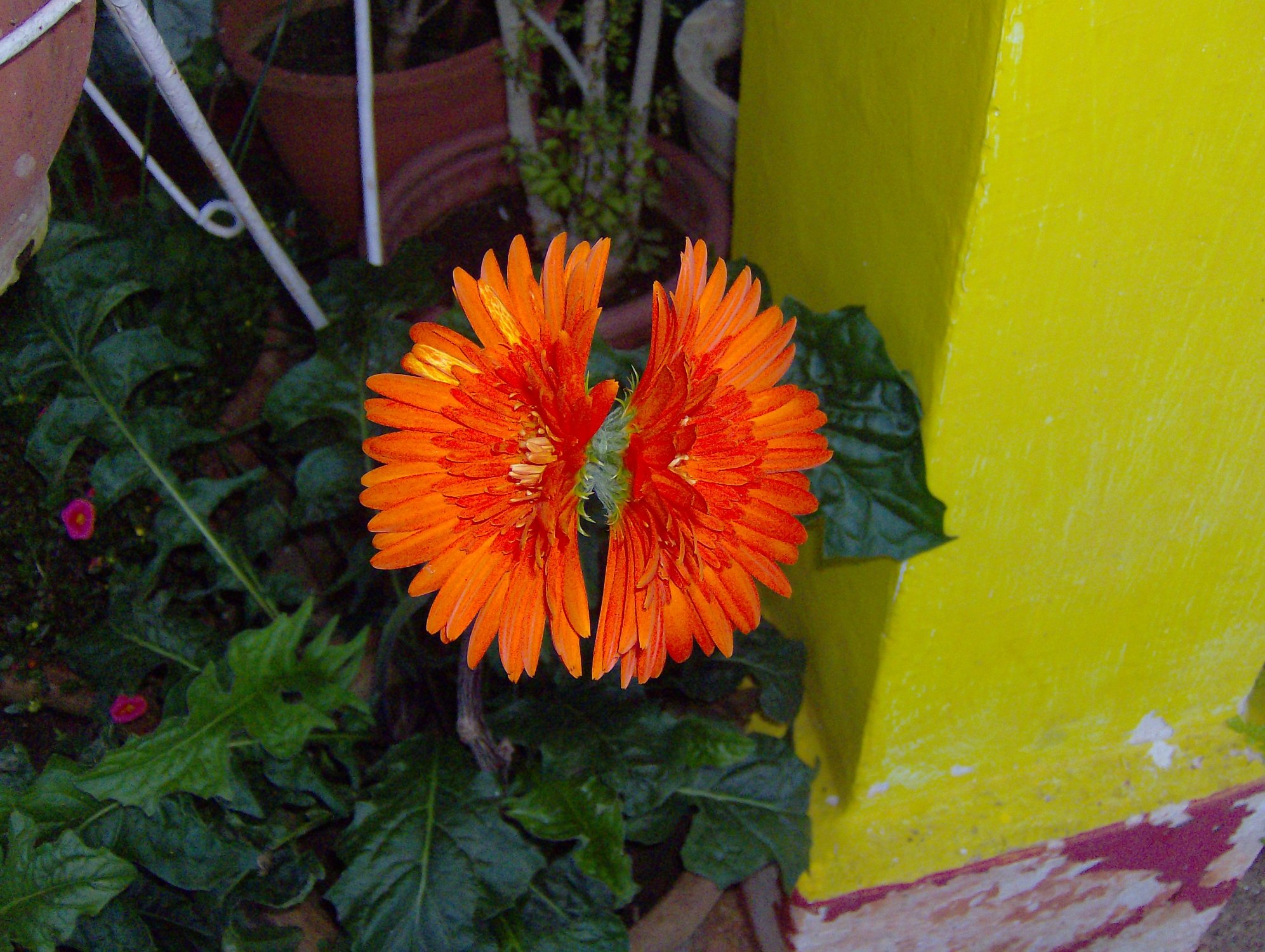 Hotel photo 69 of Jheelam.
