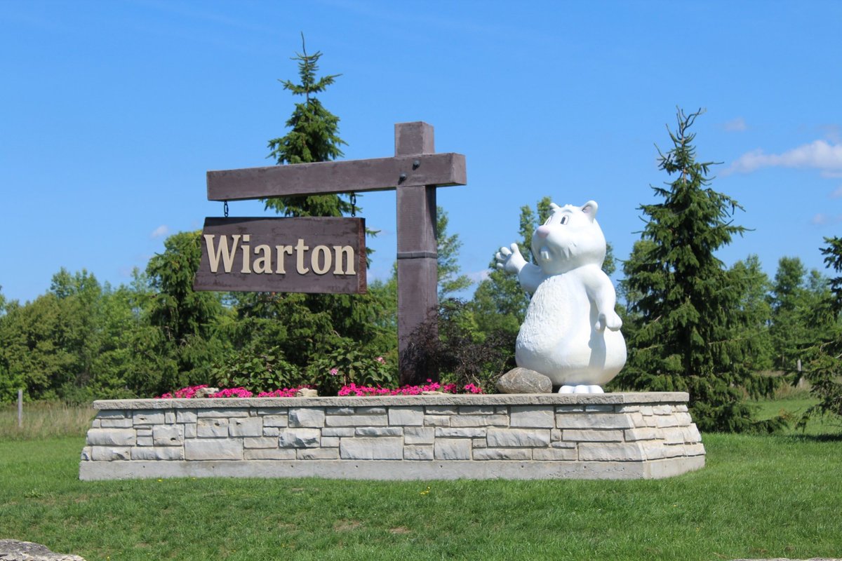 2025年 Wiarton Willie Statue 出発前に知っておくべきことすべて トリップアドバイザー