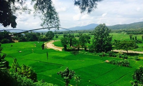 View from restaurant