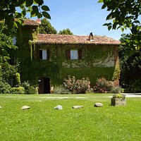 L'aia