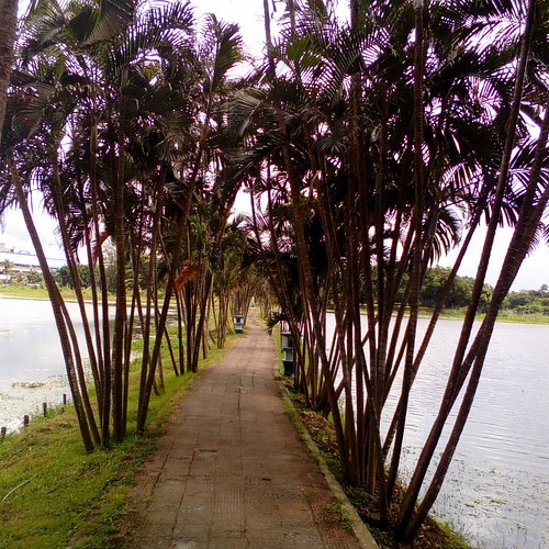Chittaranjan Park in Ghughudanga,Kolkata - Best Parks in Kolkata - Justdial