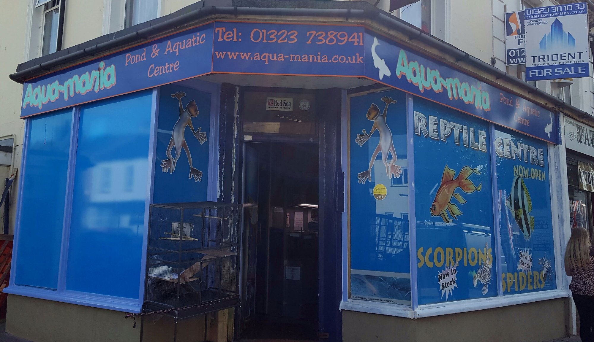 Aquatic Mania Aquatic and Reptile Centre All You Need to Know